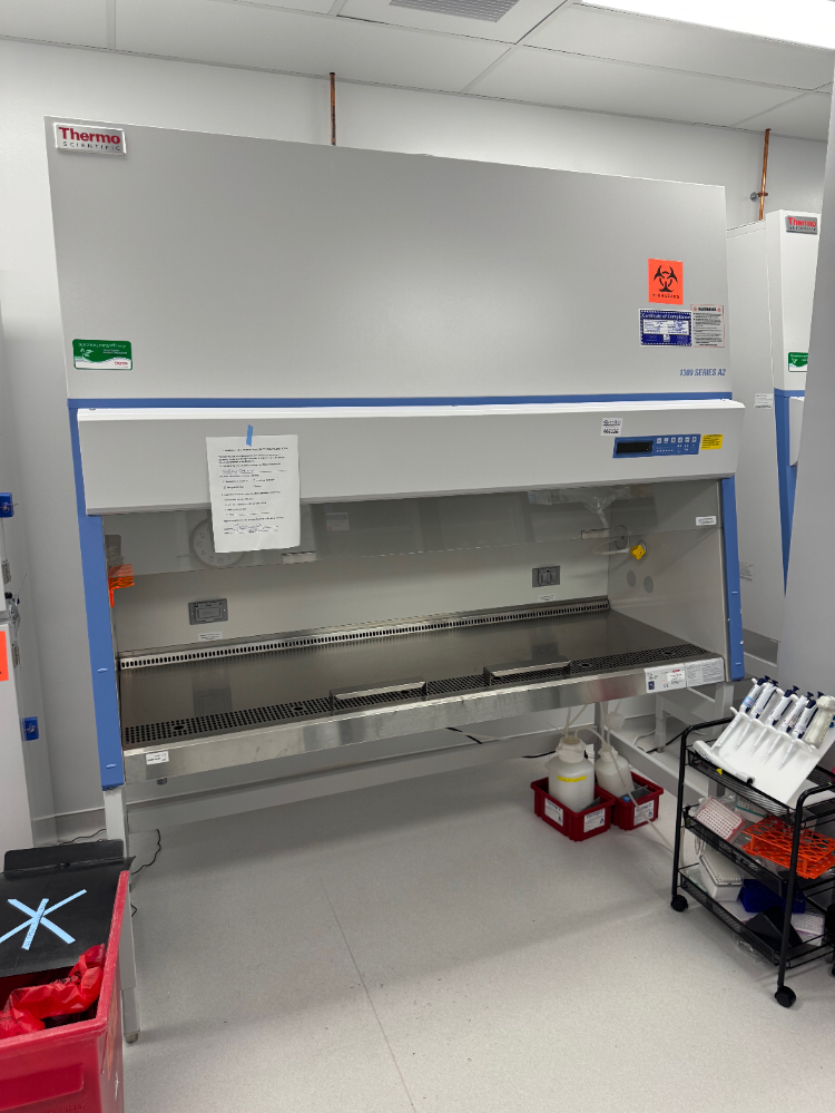 Image of Thermo 1300 Series A2 6' BioSafety Cabinet